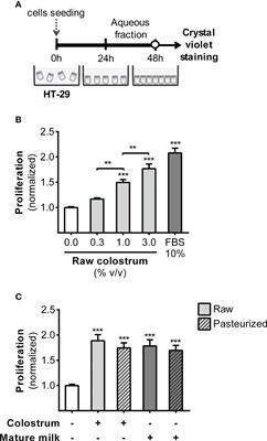 Effects of human donor milk on gut barrier function and inflammation: in vitro study of the beneficial properties to the newborn